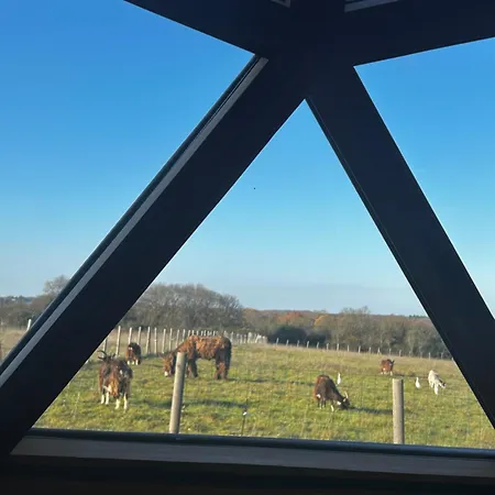 Glamping Dôme Géodésique