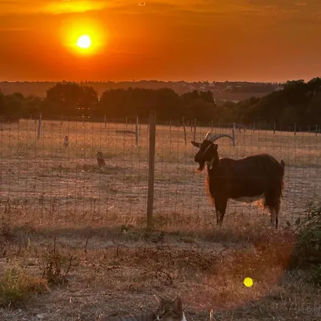 Dome Geodesique Brie (Charente)